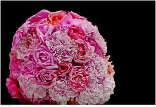 Weddings 11.jpg
Soma Peruzzo Endless Learning
 