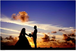 Weddings 44.jpg
Soma Peruzzo Endless Learning
 