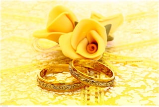 Weddings 50.jpg
Soma Peruzzo Endless Learning
 