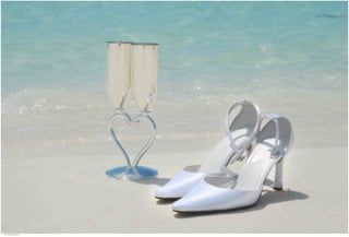 Weddings 12.jpg
Soma Peruzzo Endless Learning
 