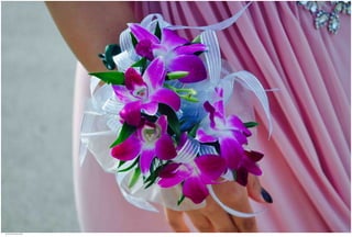 Weddings 55.jpg
Soma Peruzzo Endless Learning
 