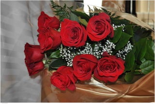 Weddings 63.jpg
Soma Peruzzo Endless Learning
 