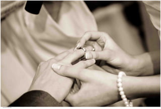 Weddings 80.jpg
Soma Peruzzo Endless Learning
 