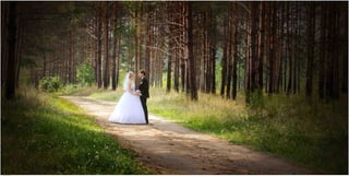 Weddings 83.jpg
Soma Peruzzo Endless Learning
 