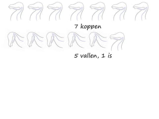 7 koppen
5 vallen, 1 is
 