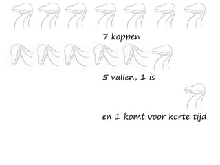 7 koppen
en 1 komt voor korte tijd
5 vallen, 1 is
 