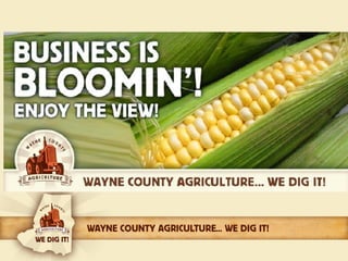 We dig it presentation 10 17 14