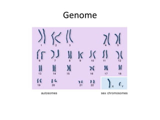 Introductory genetics and embryology | PPTX