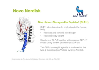Novo Nordisk
Underwood et al., The Journal of Biological Chemistry, Vol. 285, pp. 723–730
Blue ribbon: Glucagon-like Peptide-1 (GLP-1)
GLP-1 stimulates insulin production in the human
body
• Reduces and controls blood sugar
• Reduces body weight
Structure of GLP-1 together with receptor GLP-1R
solved using the MX beamline at MAX-lab
The GLP-1 analog Liraglutide is marketed as the
type-2 diabetes drug Victoza by Novo Nordisk.
 