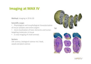 Imaging at MAX IV
Method: Imaging in 2D & 3D
Scientific scope:
• Physiological and morphological characterization 
of tissue samples and entire organs
• micro‐localization of toxic elements and tumor‐
targeting molecules in tissue
• in‐vivo imaging of small animals 
Sectors:
Life science, biological science incl. food, 
wood and plant science 
 