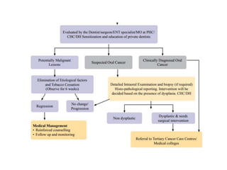 Breast Cancer, Cervical cancer, and Oral Cancer Screening according to ...