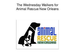 The Wednesday Walkers for
Animal Rescue New Orleans

 