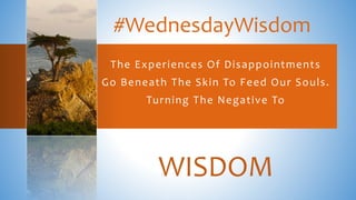 The Experiences Of Disappointments
Go Beneath The Skin To Feed Our Souls.
Turning The Negative To
WISDOM
 