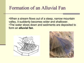 Formation of an Alluvial Fan When a stream flows out of a steep, narrow mountain valley, it suddenly becomes wider and shallower. The water slows down and sediments are deposited to form an  alluvial fan . 