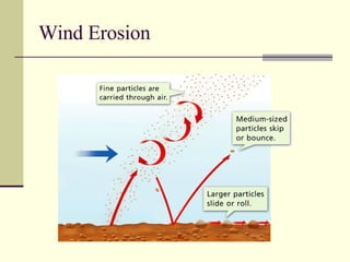 Wind Erosion 