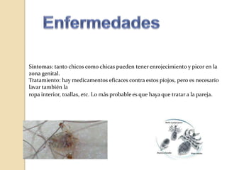 Piojos del pubis (ladillas)
Síntomas: tanto chicos como chicas pueden tener enrojecimiento y picor en la
zona genital.
Tratamiento: hay medicamentos eficaces contra estos piojos, pero es necesario
lavar también la
ropa interior, toallas, etc. Lo más probable es que haya que tratar a la pareja.

 