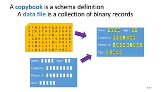 Cobrix – a COBOL Data Source for Spark | PDF