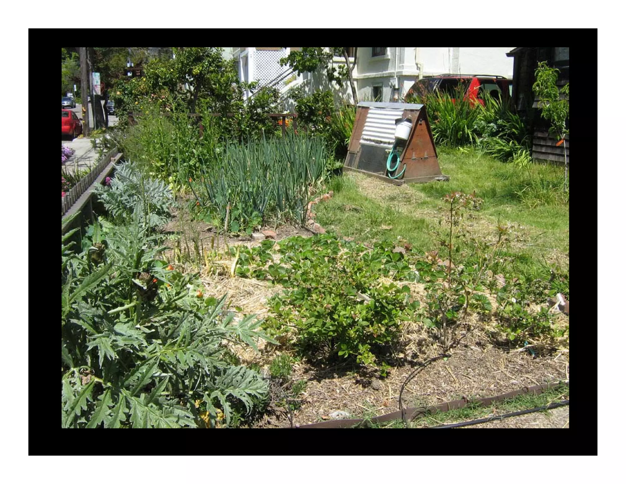 Weds1415oilfreetransport Meggs