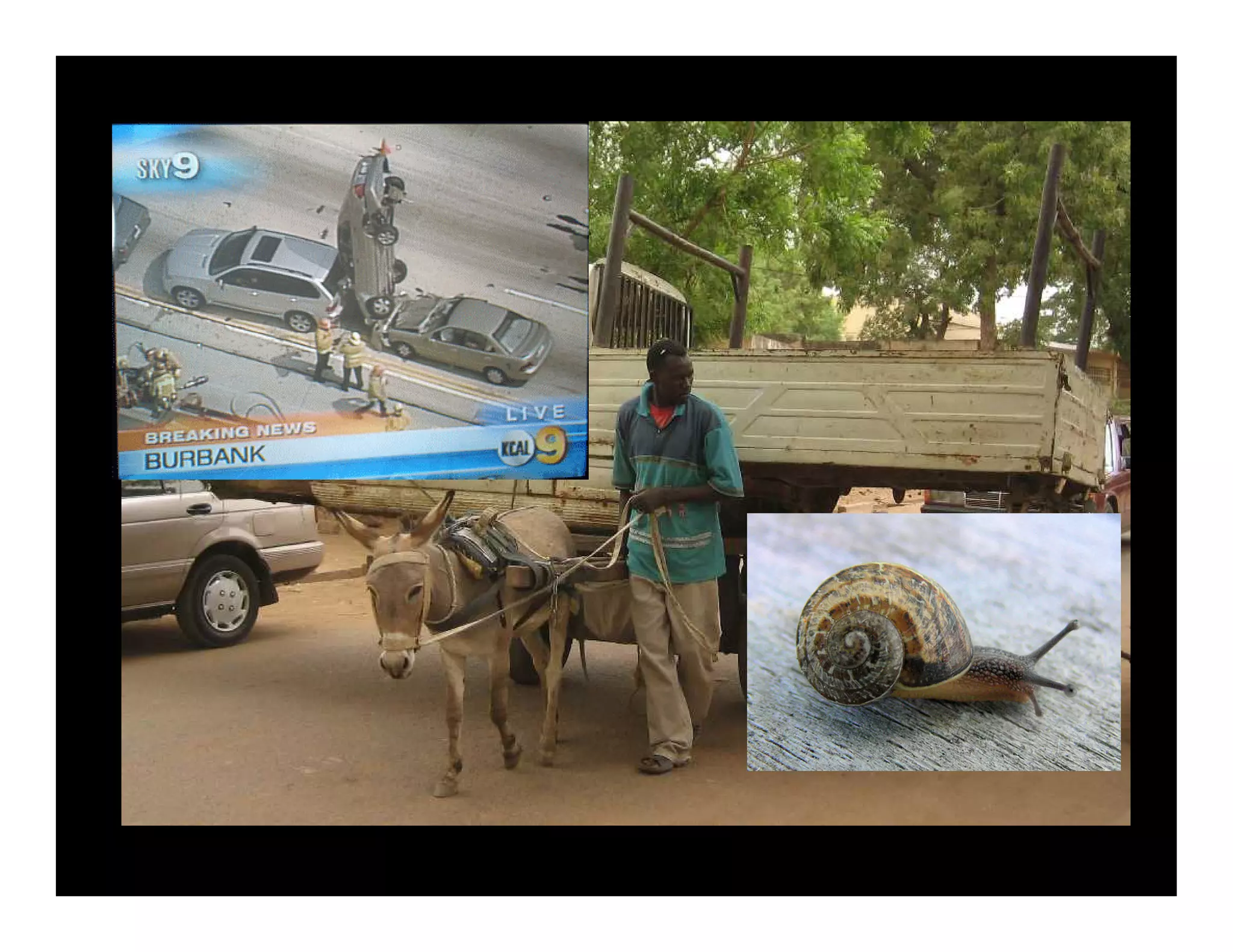 Weds1415oilfreetransport Meggs