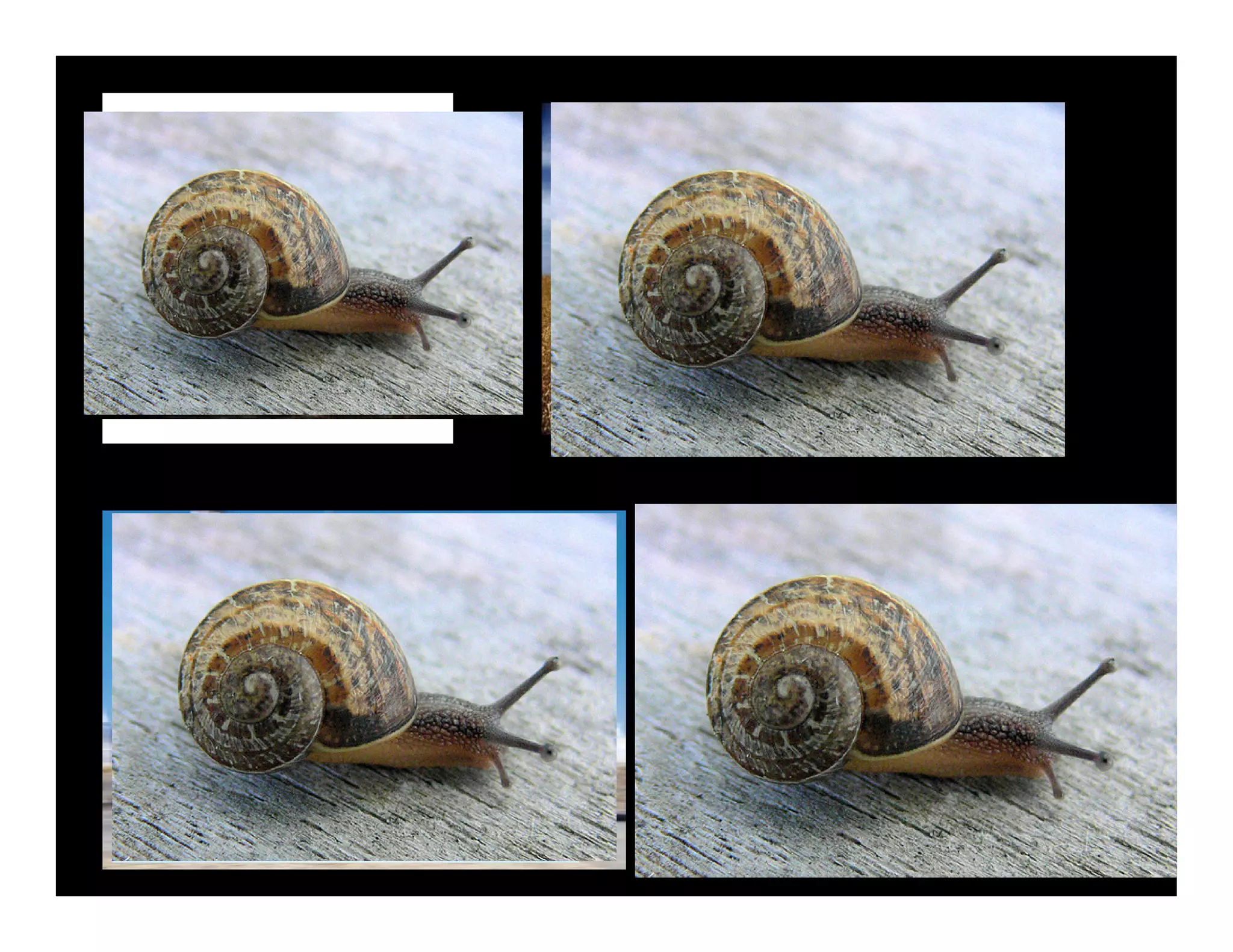 Weds1415oilfreetransport Meggs