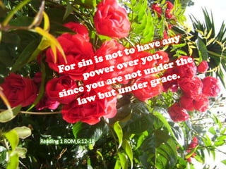 Sin must not reign over your mortal bodies
so that you obey their desires.

 