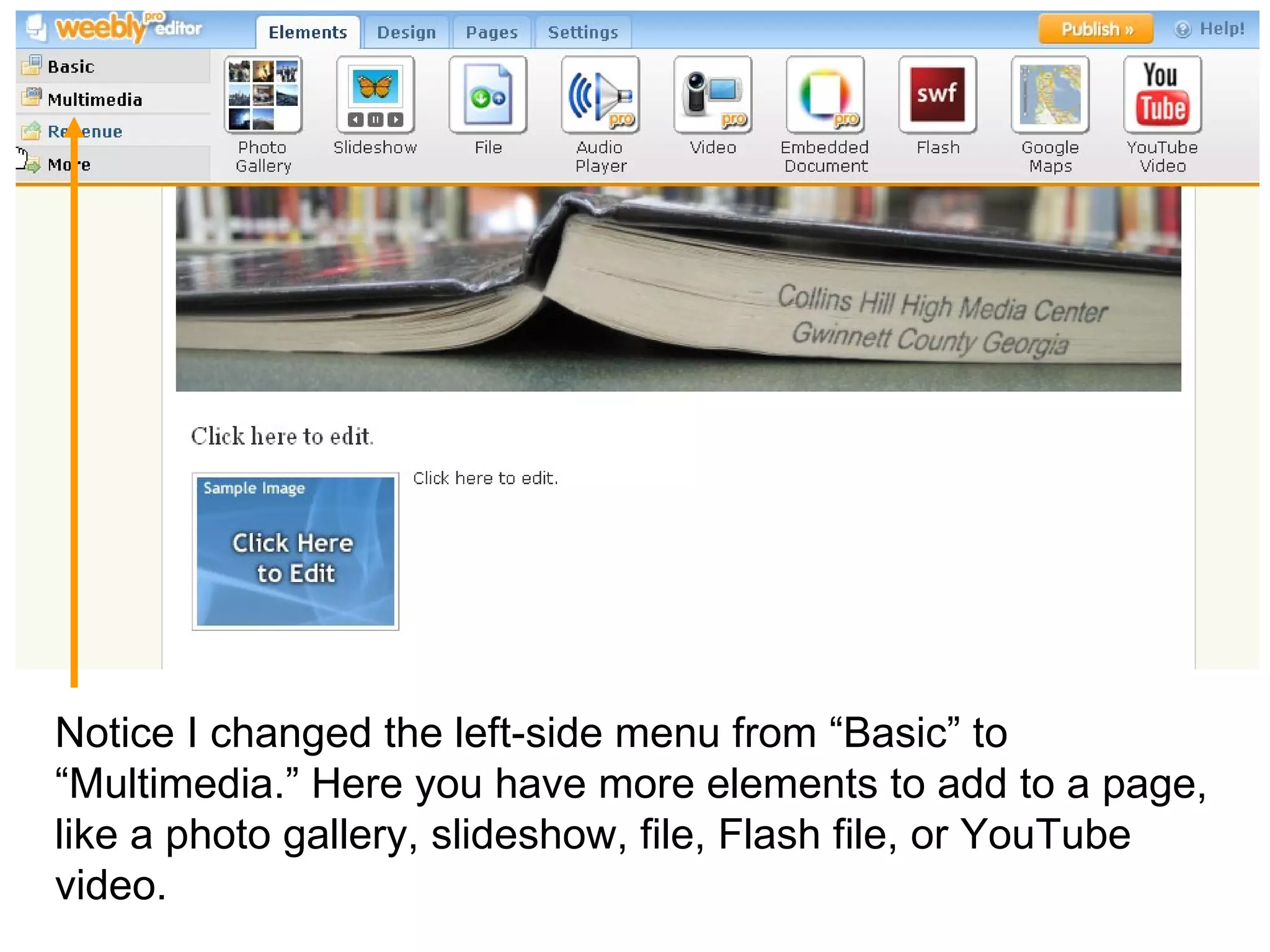Notice I changed the left-side menu from “Basic” to “Multimedia.” Here you have more elements to add to a page, like a photo gallery, slideshow, file, Flash file, or YouTube video.  