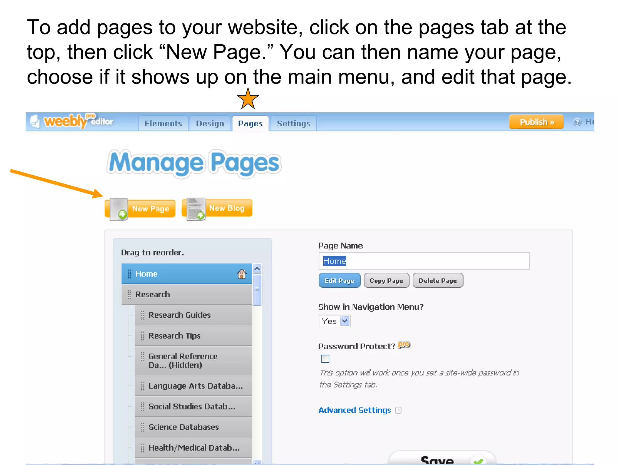 To add pages to your website, click on the pages tab at the top, then click “New Page.” You can then name your page, choose if it shows up on the main menu, and edit that page.  