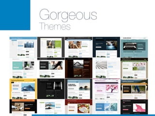 Gorgeous
Themes
 