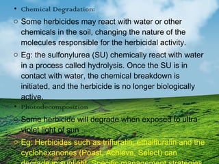 • Chemical Degradation: 
o Some herbicides may react with water or other 
chemicals in the soil, changing the nature of the 
molecules responsible for the herbicidal activity. 
o Eg: the sulfonylurea (SU) chemically react with water 
in a process called hydrolysis. Once the SU is in 
contact with water, the chemical breakdown is 
initiated, and the herbicide is no longer biologically 
active. 
• Photodecomposition 
o Some herbicide will degrade when exposed to ultra-violet 
light of sun 
o Eg: Herbicides such as trifluralin, ethalfluralin and the 
cyclohexanones (Poast, Achieve, Select) can 
degrade in sunlight. Specific management strategies 
 