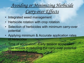 Avoiding or Minimizing Herbicide 
Carry-over Effects 
• Integrated weed management 
• Herbicide rotation with crop rotation 
• Selection of herbicides with minimum carry-over 
potential 
• Applying minimum & Accurate application rates 
of herbicides 
• Time of application –Early season application 
also assists in reducing the carry-over potential 
to succeeding crops 
 