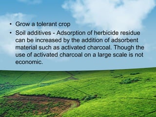 • Grow a tolerant crop 
• Soil additives - Adsorption of herbicide residue 
can be increased by the addition of adsorbent 
material such as activated charcoal. Though the 
use of activated charcoal on a large scale is not 
economic. 
 