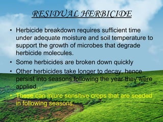 RESIDUAL HERBICIDE 
• Herbicide breakdown requires sufficient time 
under adequate moisture and soil temperature to 
support the growth of microbes that degrade 
herbicide molecules. 
• Some herbicides are broken down quickly 
• Other herbicides take longer to decay, hence 
persist into seasons following the year they were 
applied. 
• These can injure sensitive crops that are seeded 
in following seasons. 
 