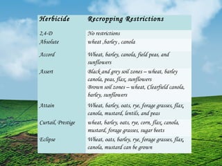 Herbicide Recropping Restrictions 
2,4-D No restrictions 
Absolute wheat ,barley , canola 
Accord Wheat, barley, canola, field peas, and 
sunflowers 
Assert Black and grey soil zones – wheat, barley 
canola, peas, flax, sunflowers 
Brown soil zones – wheat, Clearfield canola, 
barley, sunflowers 
Attain Wheat, barley, oats, rye, forage grasses, flax, 
canola, mustard, lentils, and peas 
Curtail, Prestige wheat, barley, oats, rye, corn, flax, canola, 
mustard, forage grasses, sugar beets 
Eclipse Wheat, oats, barley, rye, forage grasses, flax, 
canola, mustard can be grown 
 
