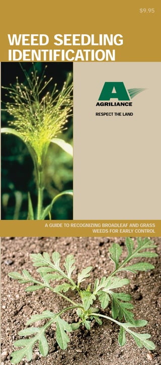$9.95




WEED SEEDLING
IDENTIFICATION


                       RESPECT THE LAND




    A GUIDE TO RECOGNIZING BROADLEAF AND GRASS
                       WEEDS FOR EARLY CONTROL