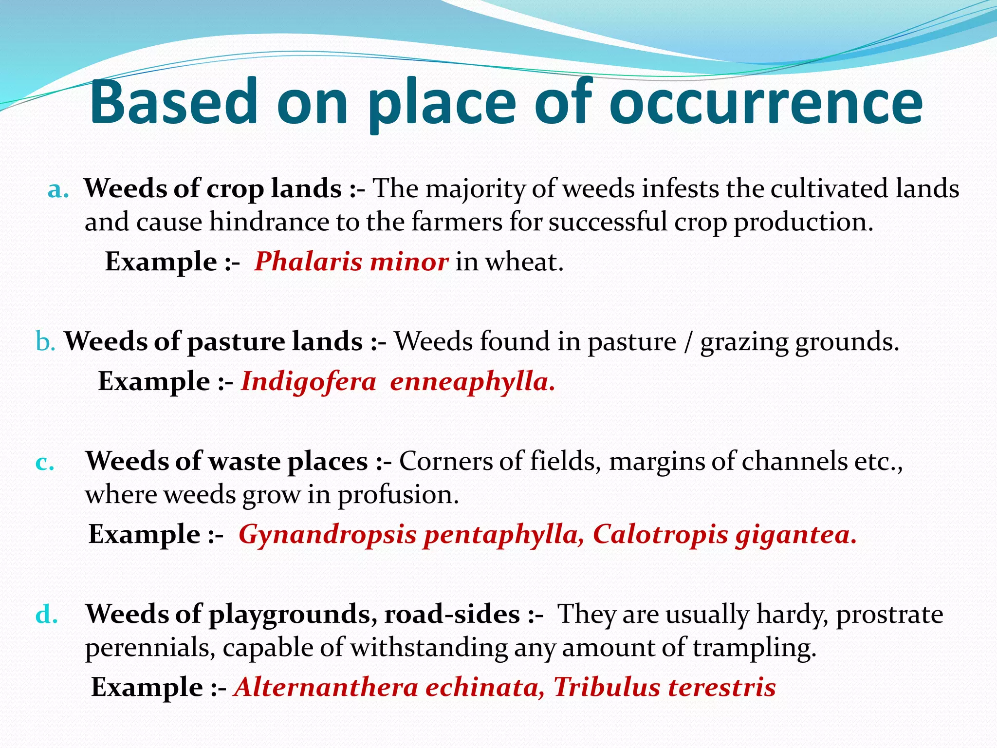 Based on place of occurrence
a. Weeds of crop lands :- The majority of weeds infests the cultivated lands
and cause hindrance to the farmers for successful crop production.
Example :- Phalaris minor in wheat.
b. Weeds of pasture lands :- Weeds found in pasture / grazing grounds.
Example :- Indigofera enneaphylla.
c. Weeds of waste places :- Corners of fields, margins of channels etc.,
where weeds grow in profusion.
Example :- Gynandropsis pentaphylla, Calotropis gigantea.
d. Weeds of playgrounds, road-sides :- They are usually hardy, prostrate
perennials, capable of withstanding any amount of trampling.
Example :- Alternanthera echinata, Tribulus terestris
 