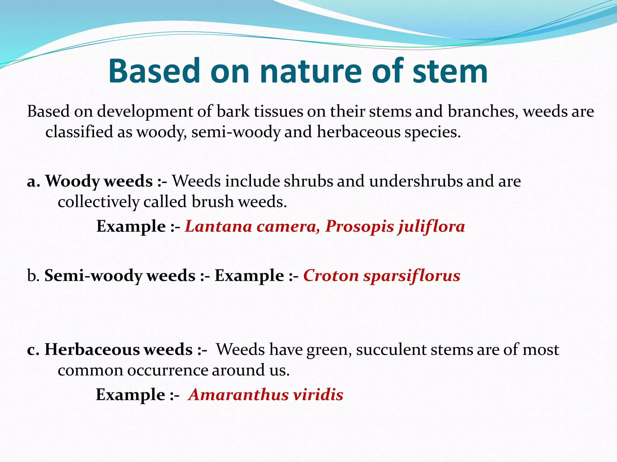 Based on nature of stem
Based on development of bark tissues on their stems and branches, weeds are
classified as woody, semi-woody and herbaceous species.
a. Woody weeds :- Weeds include shrubs and undershrubs and are
collectively called brush weeds.
Example :- Lantana camera, Prosopis juliflora
b. Semi-woody weeds :- Example :- Croton sparsiflorus
c. Herbaceous weeds :- Weeds have green, succulent stems are of most
common occurrence around us.
Example :- Amaranthus viridis
 