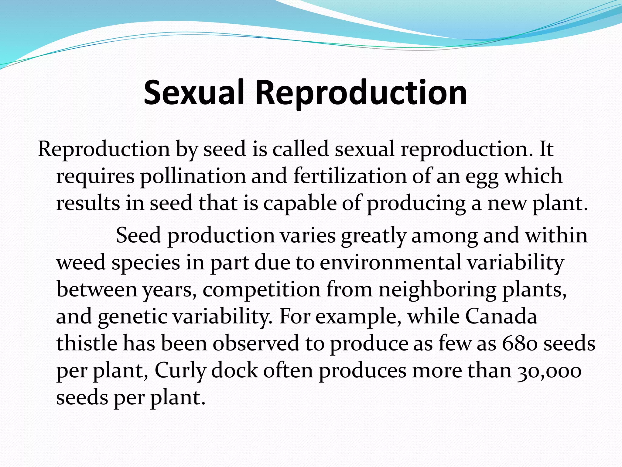 Sexual Reproduction
Reproduction by seed is called sexual reproduction. It
requires pollination and fertilization of an egg which
results in seed that is capable of producing a new plant.
Seed production varies greatly among and within
weed species in part due to environmental variability
between years, competition from neighboring plants,
and genetic variability. For example, while Canada
thistle has been observed to produce as few as 680 seeds
per plant, Curly dock often produces more than 30,000
seeds per plant.
 