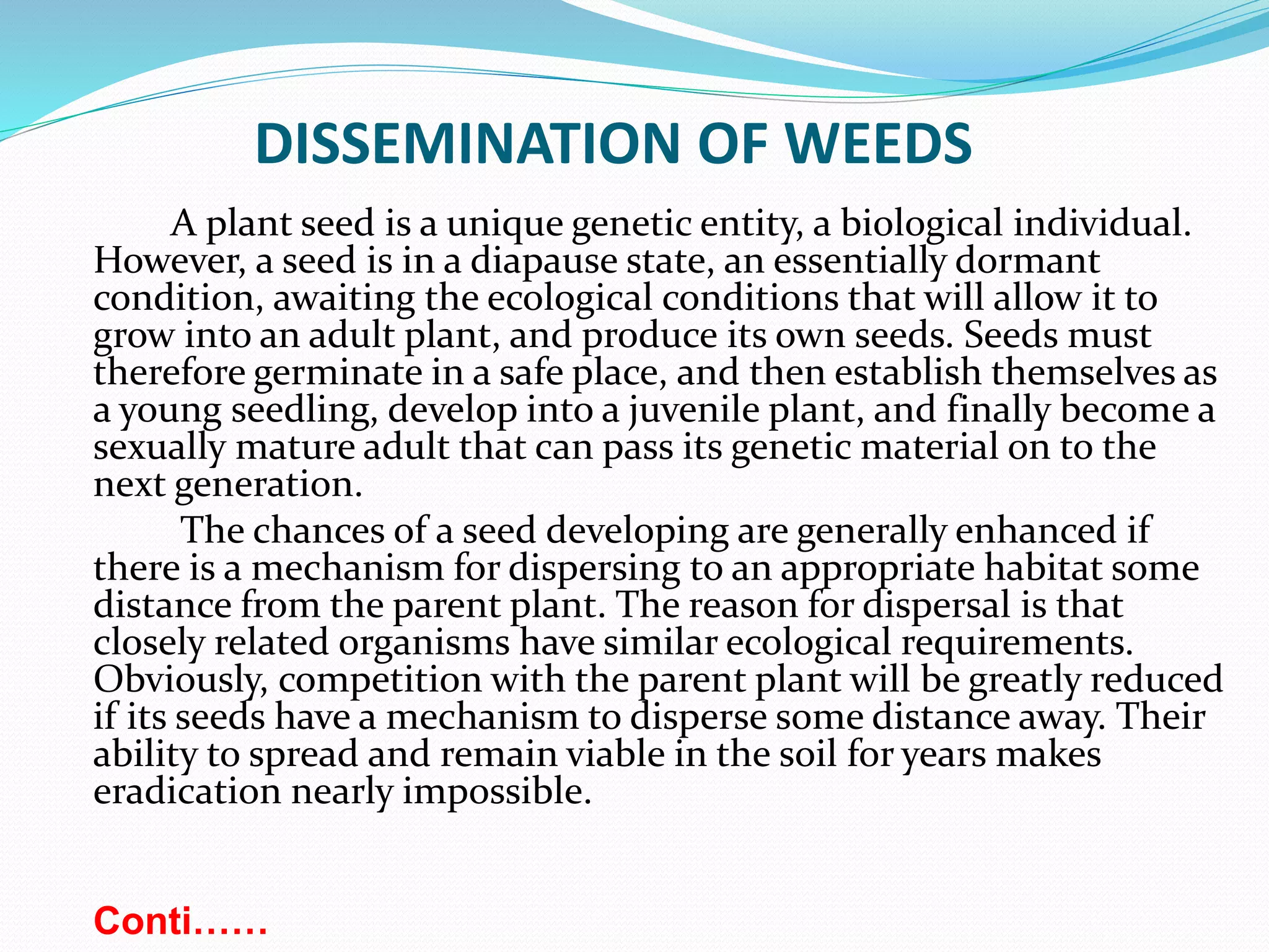 DISSEMINATION OF WEEDS
A plant seed is a unique genetic entity, a biological individual.
However, a seed is in a diapause state, an essentially dormant
condition, awaiting the ecological conditions that will allow it to
grow into an adult plant, and produce its own seeds. Seeds must
therefore germinate in a safe place, and then establish themselves as
a young seedling, develop into a juvenile plant, and finally become a
sexually mature adult that can pass its genetic material on to the
next generation.
The chances of a seed developing are generally enhanced if
there is a mechanism for dispersing to an appropriate habitat some
distance from the parent plant. The reason for dispersal is that
closely related organisms have similar ecological requirements.
Obviously, competition with the parent plant will be greatly reduced
if its seeds have a mechanism to disperse some distance away. Their
ability to spread and remain viable in the soil for years makes
eradication nearly impossible.
Conti……
 
