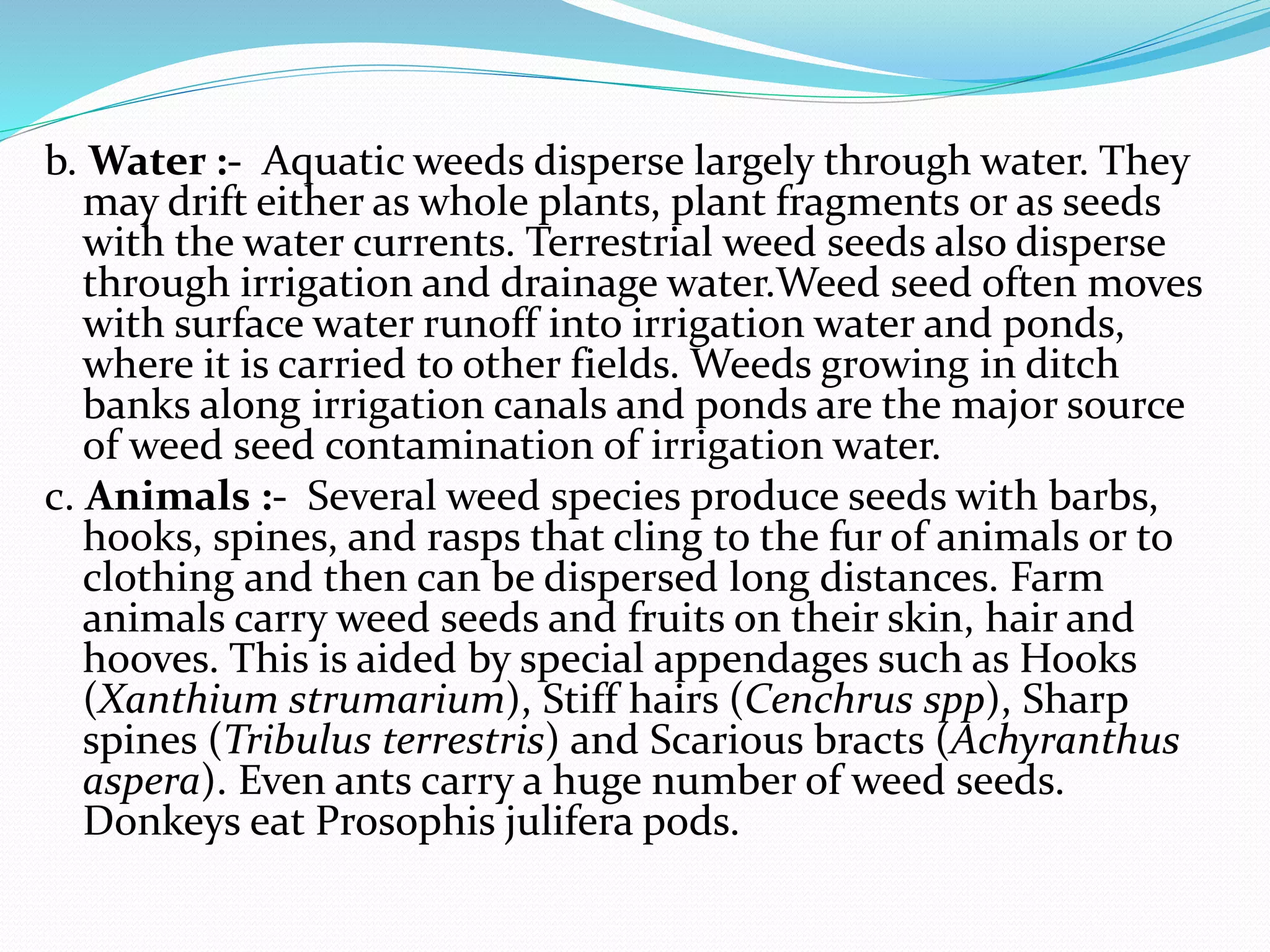 b. Water :- Aquatic weeds disperse largely through water. They
may drift either as whole plants, plant fragments or as seeds
with the water currents. Terrestrial weed seeds also disperse
through irrigation and drainage water.Weed seed often moves
with surface water runoff into irrigation water and ponds,
where it is carried to other fields. Weeds growing in ditch
banks along irrigation canals and ponds are the major source
of weed seed contamination of irrigation water.
c. Animals :- Several weed species produce seeds with barbs,
hooks, spines, and rasps that cling to the fur of animals or to
clothing and then can be dispersed long distances. Farm
animals carry weed seeds and fruits on their skin, hair and
hooves. This is aided by special appendages such as Hooks
(Xanthium strumarium), Stiff hairs (Cenchrus spp), Sharp
spines (Tribulus terrestris) and Scarious bracts (Achyranthus
aspera). Even ants carry a huge number of weed seeds.
Donkeys eat Prosophis julifera pods.
 