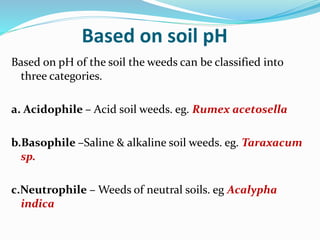 Based on soil pH
Based on pH of the soil the weeds can be classified into
three categories.
a. Acidophile – Acid soil weeds. eg. Rumex acetosella
b.Basophile –Saline & alkaline soil weeds. eg. Taraxacum
sp.
c.Neutrophile – Weeds of neutral soils. eg Acalypha
indica
 