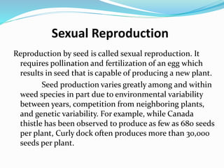 Sexual Reproduction
Reproduction by seed is called sexual reproduction. It
requires pollination and fertilization of an egg which
results in seed that is capable of producing a new plant.
Seed production varies greatly among and within
weed species in part due to environmental variability
between years, competition from neighboring plants,
and genetic variability. For example, while Canada
thistle has been observed to produce as few as 680 seeds
per plant, Curly dock often produces more than 30,000
seeds per plant.
 
