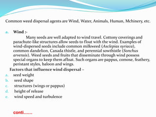 Common weed dispersal agents are Wind, Water, Animals, Human, Mchinery, etc.
a. Wind :-
Many seeds are well adapted to wind travel. Cottony coverings and
parachute-like structures allow seeds to float with the wind. Examples of
wind-dispersed seeds include common milkweed (Asclepias syriaca),
common dandelion, Canada thistle, and perennial sowthistle (Sonchus
arvensis). Weed seeds and fruits that disseminate through wind possess
special organs to keep them afloat. Such organs are pappus, comose, feathery,
peristant styles, baloon and wings.
Factors that influence wind dispersal –
a. seed weight
b. seed shape
c. structures (wings or pappus)
d. height of release
e. wind speed and turbulence
conti……
 