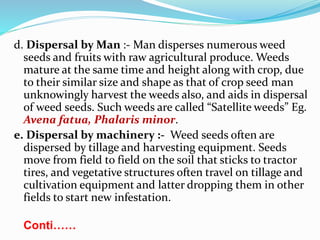 d. Dispersal by Man :- Man disperses numerous weed
seeds and fruits with raw agricultural produce. Weeds
mature at the same time and height along with crop, due
to their similar size and shape as that of crop seed man
unknowingly harvest the weeds also, and aids in dispersal
of weed seeds. Such weeds are called “Satellite weeds” Eg.
Avena fatua, Phalaris minor.
e. Dispersal by machinery :- Weed seeds often are
dispersed by tillage and harvesting equipment. Seeds
move from field to field on the soil that sticks to tractor
tires, and vegetative structures often travel on tillage and
cultivation equipment and latter dropping them in other
fields to start new infestation.
Conti……
 