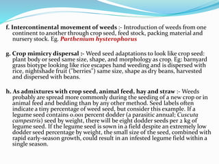 f. Intercontinental movement of weeds :- Introduction of weeds from one
continent to another through crop seed, feed stock, packing material and
nursery stock. Eg. Parthenium hysterophorus
g. Crop mimicry dispersal :- Weed seed adaptations to look like crop seed:
plant body or seed same size, shape, and morphology as crop. Eg: barnyard
grass biotype looking like rice escapes hand weeding and is dispersed with
rice, nightshade fruit ("berries") same size, shape as dry beans, harvested
and dispersed with beans.
h. As admixtures with crop seed, animal feed, hay and straw :- Weeds
probably are spread more commonly during the seeding of a new crop or in
animal feed and bedding than by any other method. Seed labels often
indicate a tiny percentage of weed seed, but consider this example. If a
legume seed contains 0.001 percent dodder (a parasitic annual; Cuscuta
campestris) seed by weight, there will be eight dodder seeds per 2 kg of
legume seed. If the legume seed is sown in a field despite an extremely low
dodder seed percentage by weight, the small size of the seed, combined with
rapid early-season growth, could result in an infested legume field within a
single season.
 