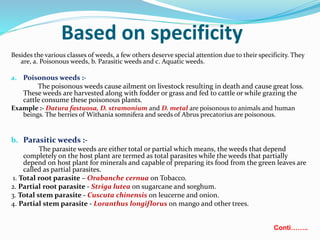 Based on specificity
Besides the various classes of weeds, a few others deserve special attention due to their specificity. They
are, a. Poisonous weeds, b. Parasitic weeds and c. Aquatic weeds.
a. Poisonous weeds :-
The poisonous weeds cause ailment on livestock resulting in death and cause great loss.
These weeds are harvested along with fodder or grass and fed to cattle or while grazing the
cattle consume these poisonous plants.
Example :- Datura fastuosa, D. stramonium and D. metal are poisonous to animals and human
beings. The berries of Withania somnifera and seeds of Abrus precatorius are poisonous.
b. Parasitic weeds :-
The parasite weeds are either total or partial which means, the weeds that depend
completely on the host plant are termed as total parasites while the weeds that partially
depend on host plant for minerals and capable of preparing its food from the green leaves are
called as partial parasites.
1. Total root parasite – Orabanche cernua on Tobacco.
2. Partial root parasite - Striga lutea on sugarcane and sorghum.
3. Total stem parasite - Cuscuta chinensis on leucerne and onion.
4. Partial stem parasite - Loranthus longiflorus on mango and other trees.
Conti……..
 