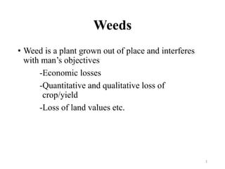 Weeds
• Weed is a plant grown out of place and interferes
with man’s objectives
-Economic losses
-Quantitative and qualitative loss of
crop/yield
-Loss of land values etc.
1
 