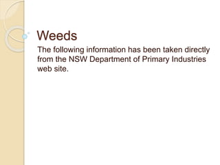 Weeds
The following information has been taken directly
from the NSW Department of Primary Industries
web site.
 
