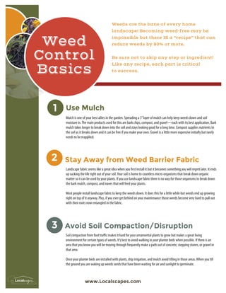 Weed
Control
Basics
www.Localscapes.com
Weeds are the bane of every home
landscape! Becoming weed-free may be
impossible but there IS a “recipe” that can
reduce weeds by 80% or more.
Be sure not to skip any step or ingredient!
Like any recipe, each part is critical
to success.
Mulch is one of your best allies in the garden. Spreading a 3”layer of mulch can help keep weeds down and soil
moisture in.The main products used for this are bark chips, compost, and gravel—each with its best application. Bark
mulch takes longer to break down into the soil and stays looking good for a long time. Compost supplies nutrients to
the soil as it breaks down and it can be free if you make your own. Gravel is a little more expensive initially but rarely
needs to be reapplied.
Landscape fabric seems like a great idea when you first install it but it becomes something you will regret later. It ends
up sucking the life right out of your soil.Your soil is home to countless micro-organisms that break down organic
matter so it can be used by your plants. If you use landscape fabric there is no way for those organisms to break down
the bark mulch, compost, and leaves that will feed your plants.
Most people install landscape fabric to keep the weeds down. It does this for a little while but weeds end up growing
right on top of it anyway. Plus, if you ever get behind on your maintenance those weeds become very hard to pull out
with their roots now entangled in the fabric.
Use Mulch1
Stay Away from Weed Barrier Fabric2
Soil compaction from foot traffic makes it hard for your ornamental plants to grow but makes a great living
environment for certain types of weeds. It’s best to avoid walking in your planter beds when possible. If there is an
area that you know you will be moving through frequently make a path out of concrete, stepping stones, or gravel in
that area.
Once your planter beds are installed with plants, drip irrigation, and mulch avoid tilling in those areas.When you till
the ground you are waking up weeds seeds that have been waiting for air and sunlight to germinate.
Avoid Soil Compaction/Disruption3
 