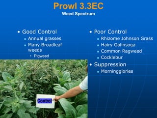 Weed Control-ITGglxotxotxitxotxotdotdoydoP-1.ppt