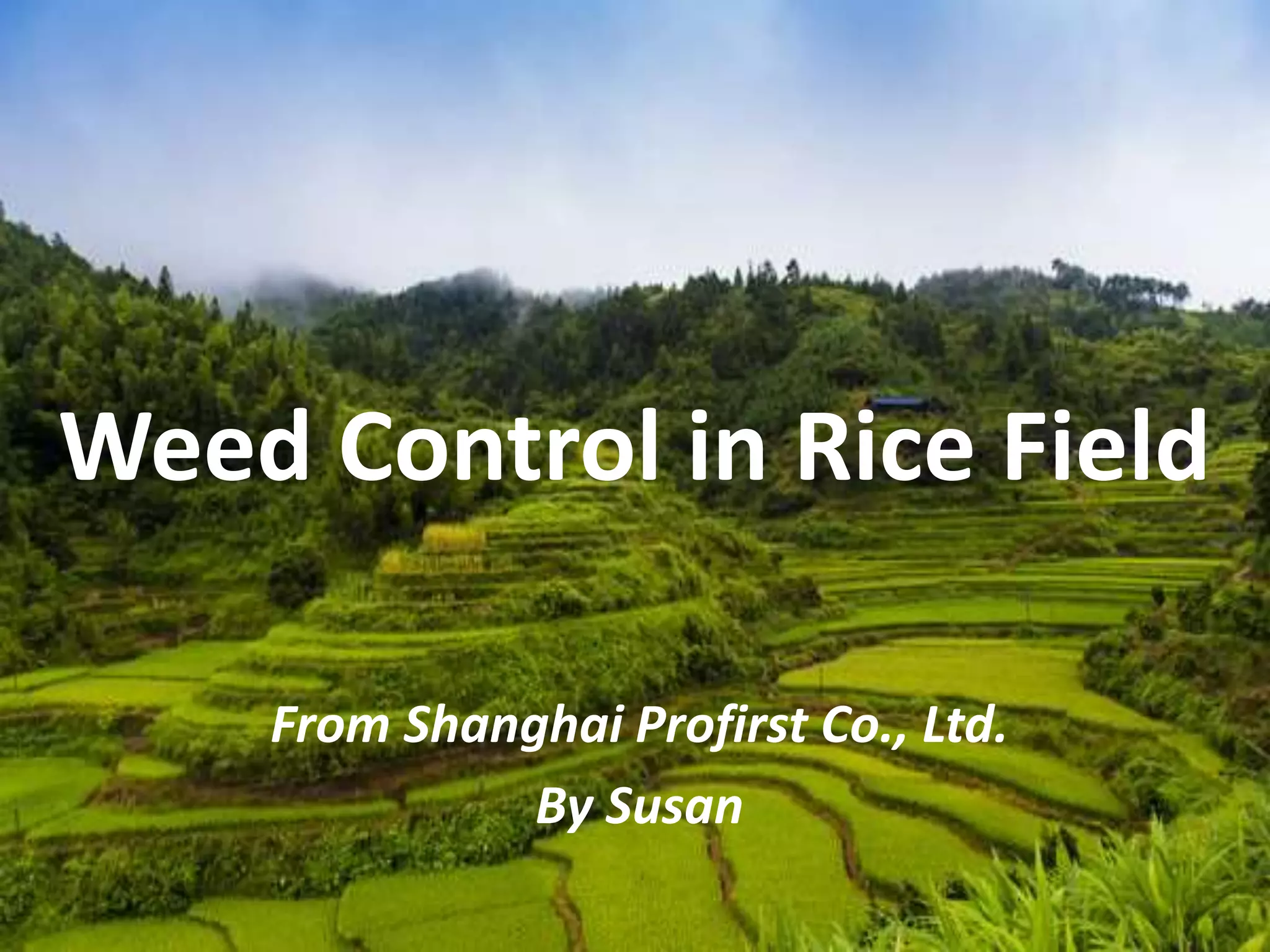 Weed Control in Rice Field | PPTX
